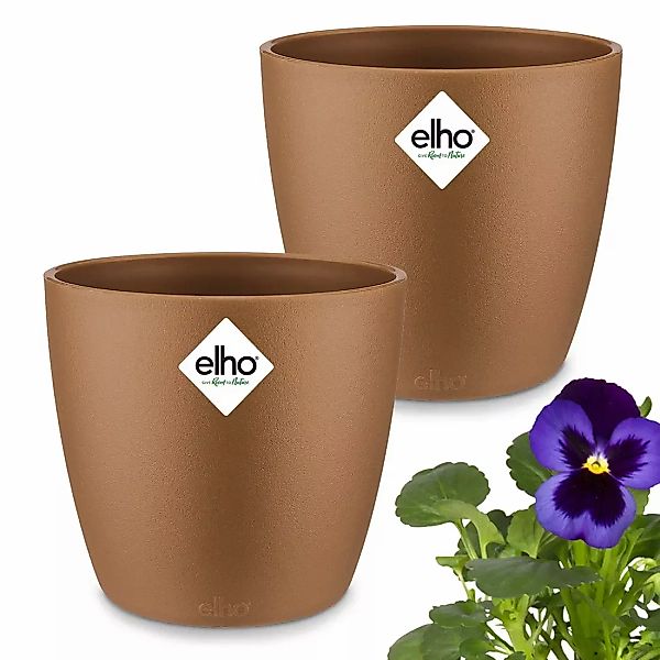 Blumentopf Brussels 2er-Set Samtgold 11x10cm 0,8L günstig online kaufen