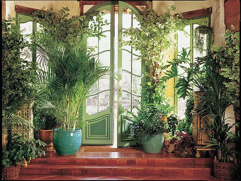 Papermoon Fototapete Larit Jardin, glatt günstig online kaufen