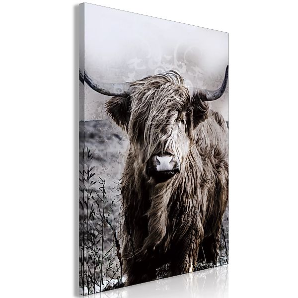 Wandbild - Highland Cow In Sepia günstig online kaufen