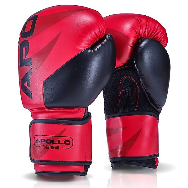 Apollo Boxhandschuhe Boxhandschuhe Männer Champion Thai günstig online kaufen