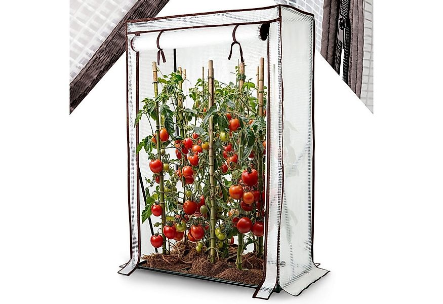 Arebos Tomatengewächshaus Treibhaus Frühbeet Foliengewächshaus, BxTxH: 100 günstig online kaufen
