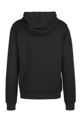 Replay Sweatshirt FRENCH TERRY PL/CO FLEECE günstig online kaufen