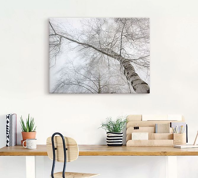 Artland Wandbild "Winter Birke", Bäume, (1 St.), als Leinwandbild, Wandaufk günstig online kaufen