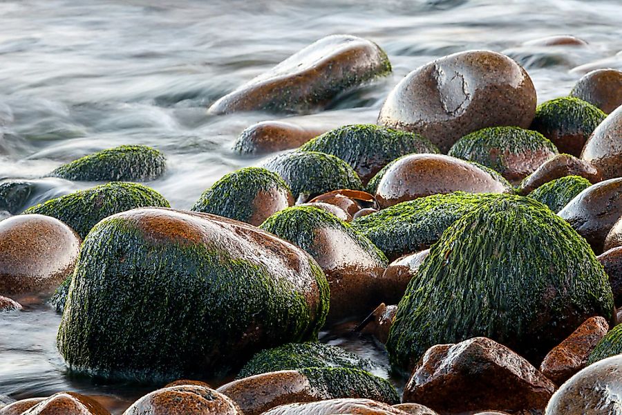 Papermoon Fototapete "Steine im Wasser" günstig online kaufen