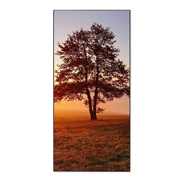 Banjado Magnettafel 37x78cm Magnetwand  Schwarz Aus Metall Magnetpinnwand P günstig online kaufen