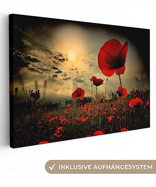 OneMillionCanvasses® Leinwandbild Mohnblumen am Abend, Fotodruck günstig online kaufen