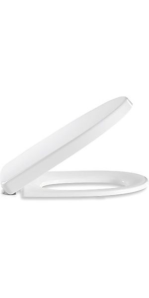 WC-Sitz günstig online kaufen