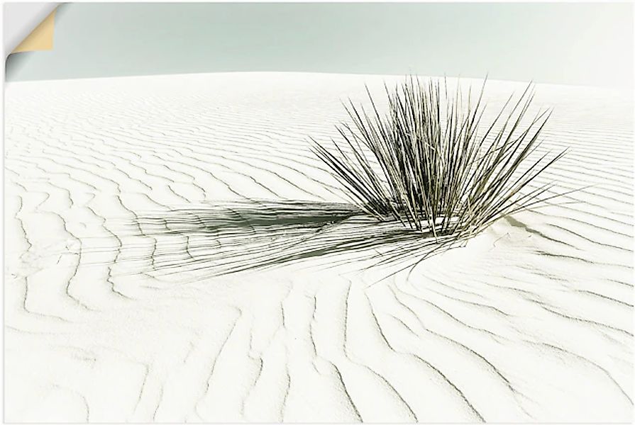 Artland Wandbild »Dünen, weißer Sand Vintage«, Strandbilder, (1 St.), als A günstig online kaufen