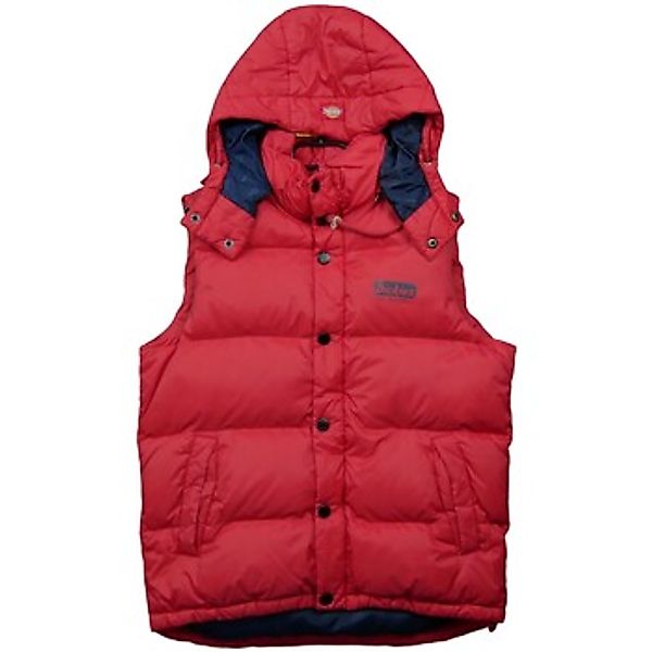 Dickies  Daunenjacken 128333 günstig online kaufen