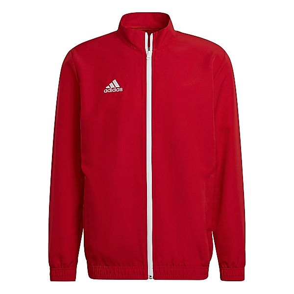 adidas Performance Trainingsjacke adidas Herren Präsentationsjacke günstig online kaufen