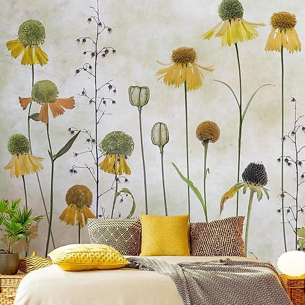 Bilderdepot24 Fototapete Blumen Helenium Blüten Blumentapete günstig online kaufen