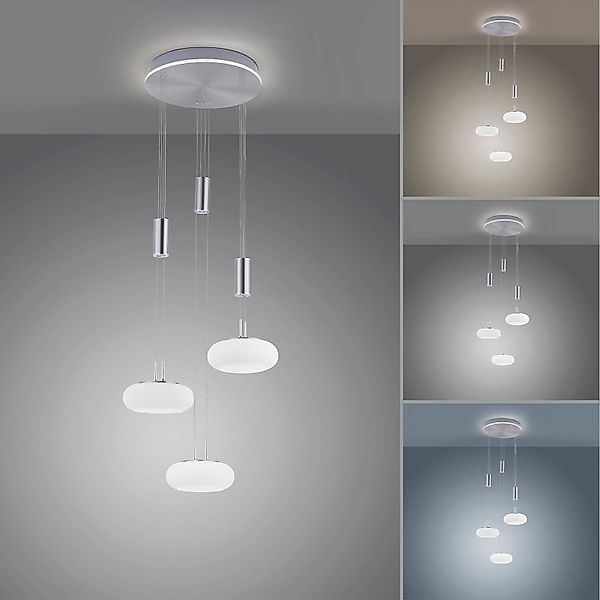 Paul Neuhaus Smarte LED-Leuchte LED Pendellampe günstig online kaufen