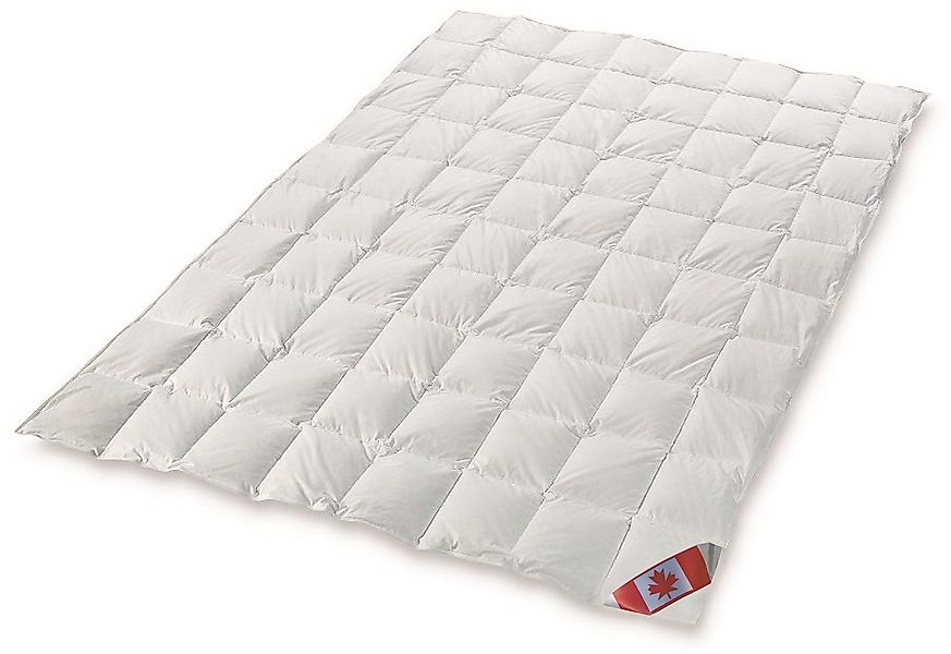 Canada Daunenbettdecke Polaris Premium Sommerdecke Canada günstig online kaufen