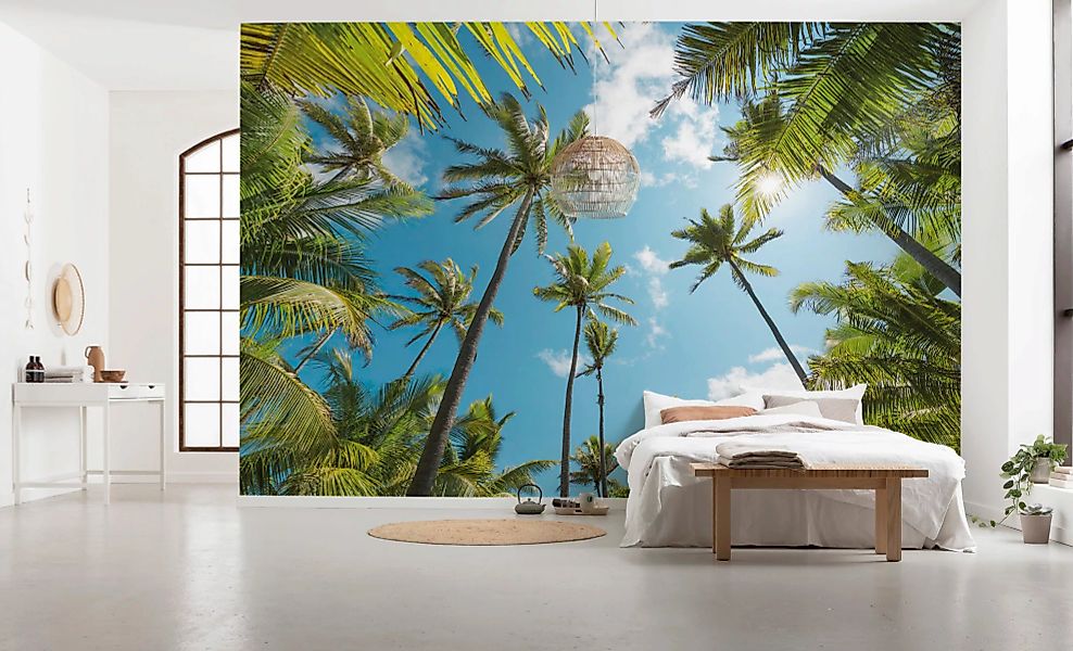 KOMAR Vlies Fototapete - Coconut Heaven  - Größe 450 x 280 cm mehrfarbig günstig online kaufen