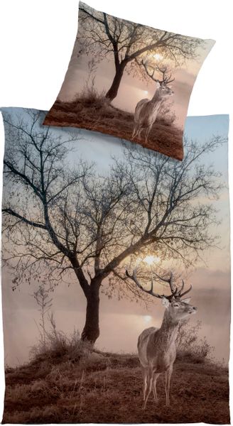 KiNZLER Wendebettwäsche "Winterhirsch" 2 Stk. tlg. aus Mikrofaser günstig online kaufen