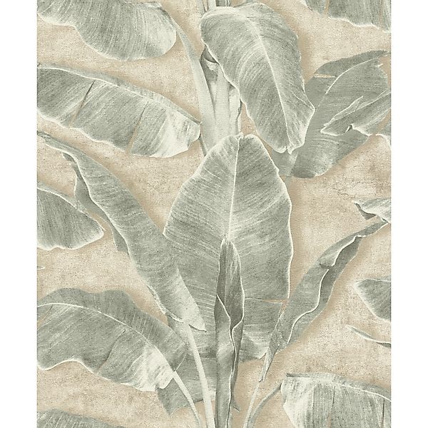 Rasch SK-Tapete Tesa 371727 Cuba Blatt Grün 6 m x 0,53 m günstig online kaufen