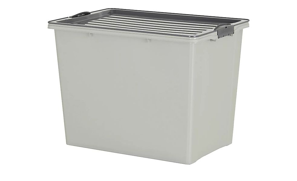 Rotho Aufbewahrungsbox mit Deckel - beige - Polypropylen - 39,5 cm - 43,5 c günstig online kaufen