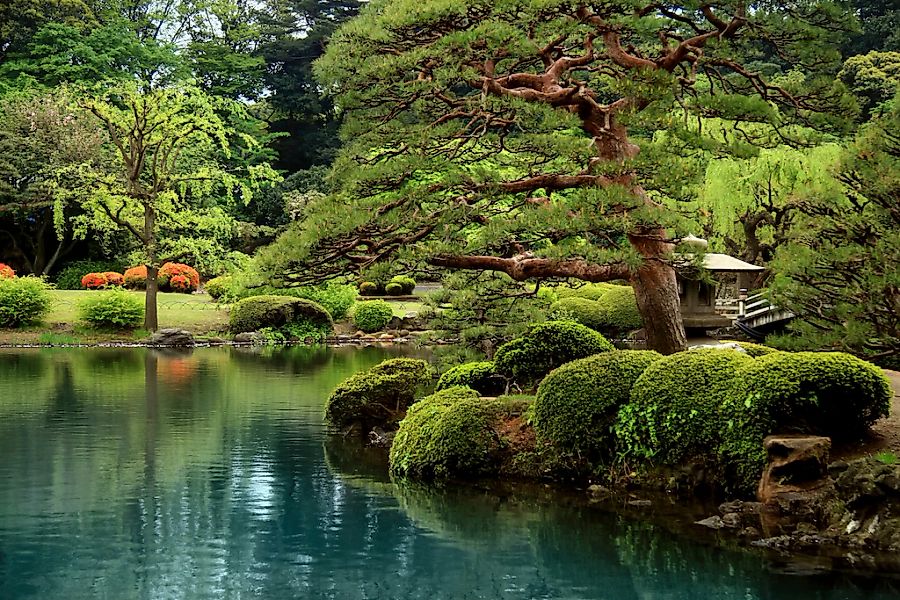 Papermoon Fototapete "GARTEN-ZEEN SEE BONZAI BÄUME BLUMEN PFLANZEN PARK GRÜ günstig online kaufen
