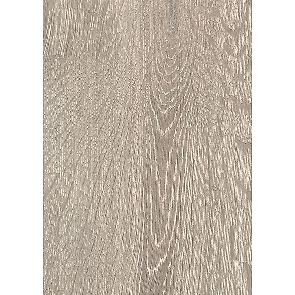Krono Original Atlantic 12 Laminat 12 mm Boulder Oak günstig online kaufen