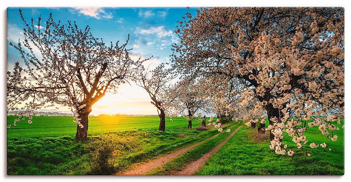 Artland Wandbild "Kirschallee" Felder 1 Stk. tlg. als Leinwandbild, Poster, günstig online kaufen