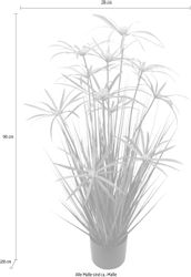 Kunstpflanze Zyperngras im Topf, I.GE.A., Höhe günstig online kaufen