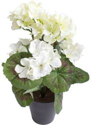 Botanic-Haus Kunstblume "Geranienbusch mit 6 Blütenköpfen" günstig online kaufen