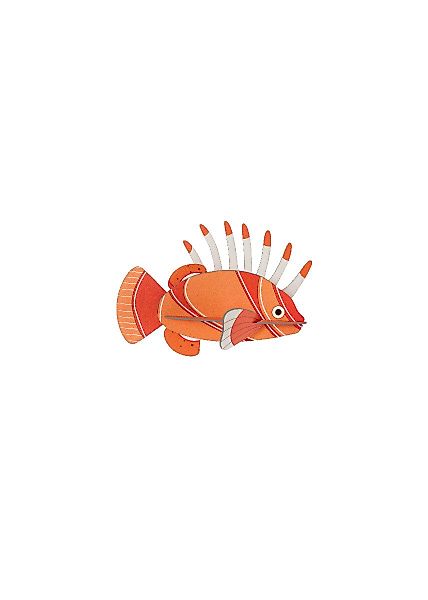 studio ROOF Wanddekoobjekt 3D Rotfeuerfisch (1 günstig online kaufen
