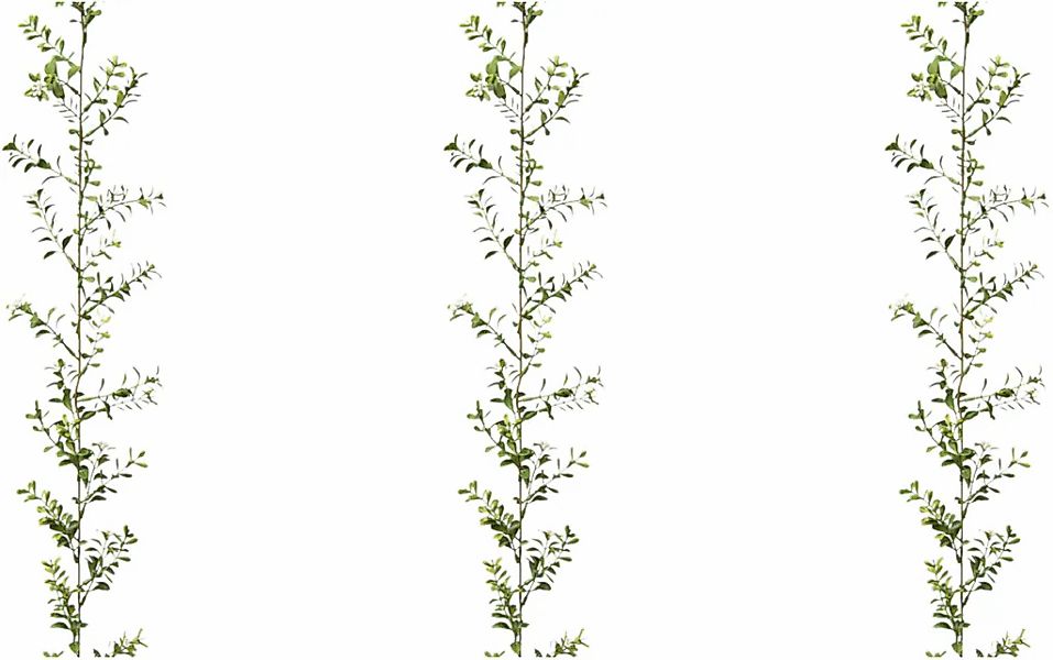 Kunstgirlande Buchsbaumgirlande Buchsbaum, Creativ green günstig online kaufen