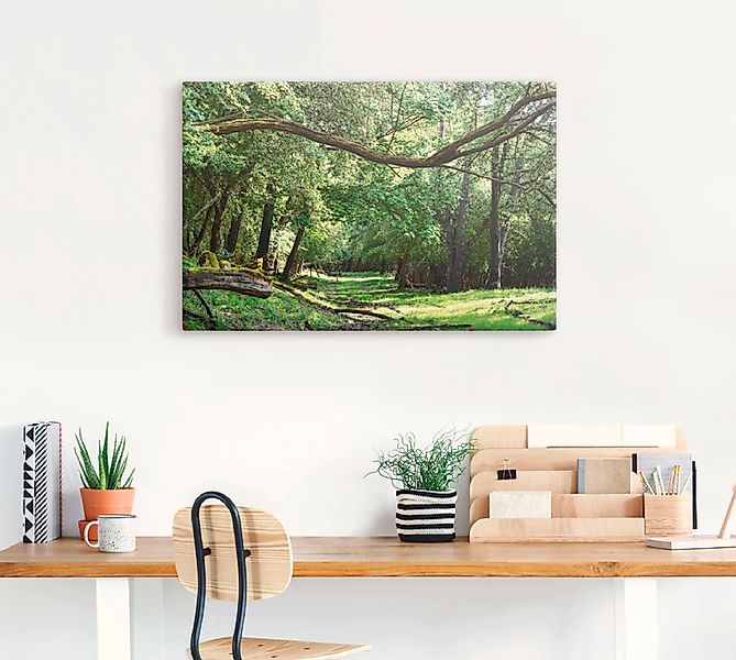 Artland Wandbild "Auf grünem Weg durch den grünen Wald", Wald, (1 St.), als günstig online kaufen