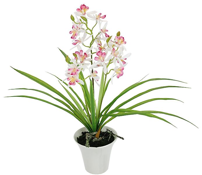 Kunstorchidee Künstliche Orchidee mit Topf, I.GE.A., Höhe 40 cm, Dekoblume günstig online kaufen