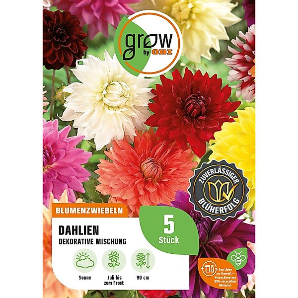 GROW by OBI Dahlien Mischung Höhe ca. 90 cm Dahlia decorative günstig online kaufen