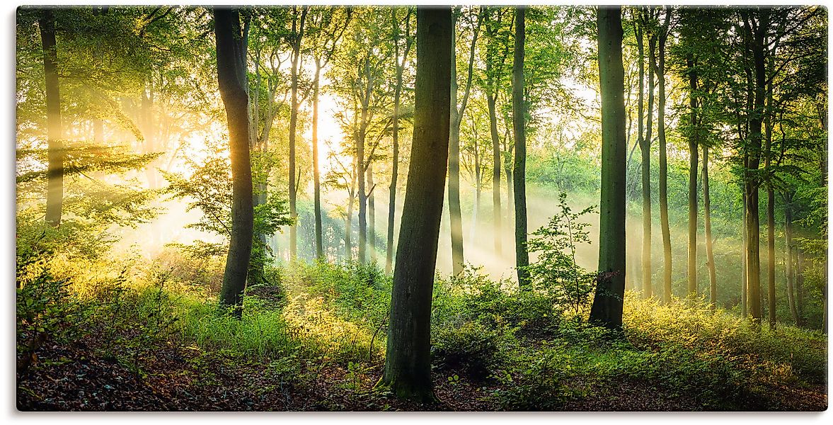 Artland Wandbild »Herbst im Wald II« Waldbilder 1 Stk. tlg. als Alubild, Ou günstig online kaufen