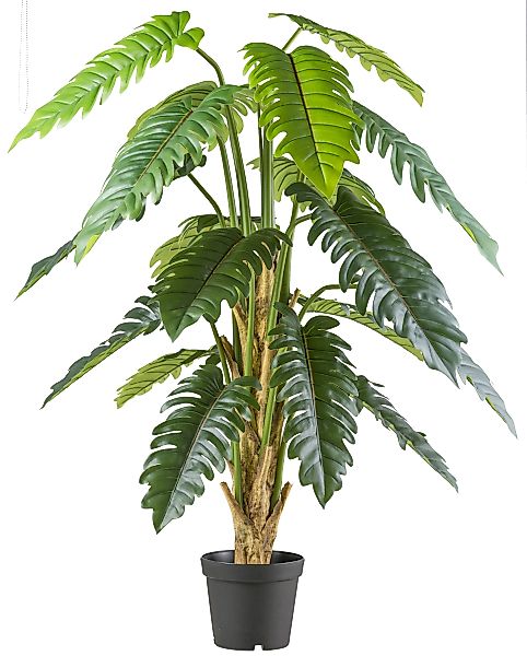 Kunstbaum Philodendron xanadu, Creativ green, Höhe günstig online kaufen