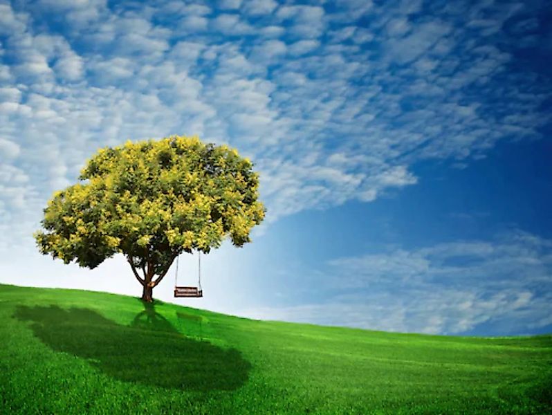 Papermoon Fototapete »Goldener Regenbaum« günstig online kaufen
