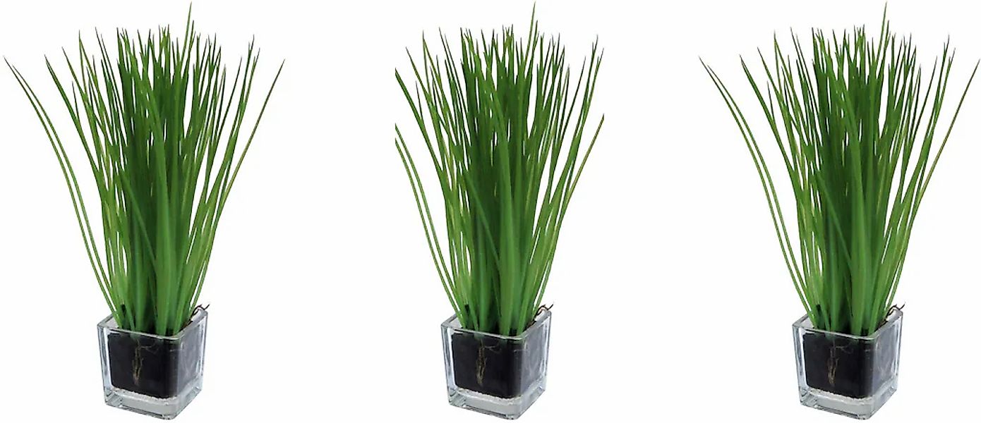 Creativ green Kunstgras "Gras im Glas" günstig online kaufen