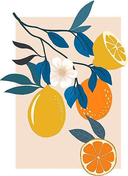 Komar Wandbild "Illustration Finest Fruits", (1 St.), Deutsches Premium-Pos günstig online kaufen