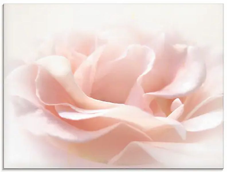Artland Glasbild »Rose I« 1 Stk. tlg. in verschiedenen Größen günstig online kaufen