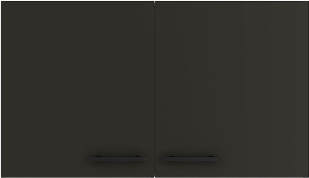 OPTIFIT Hängeschrank "Palma", Breite 100 cm, 2 Türen, 1 Einlegeboden günstig online kaufen