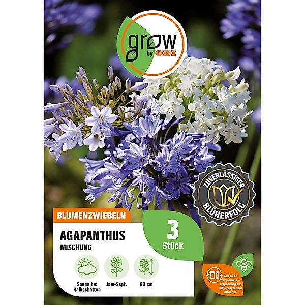 GROW by OBI Agapanthus Mischung Höhe ca. 80 cm Agapanthus africanus günstig online kaufen