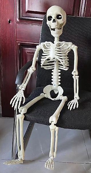 Orlob Dekofigur XXL Deko Skelett Mensch günstig online kaufen