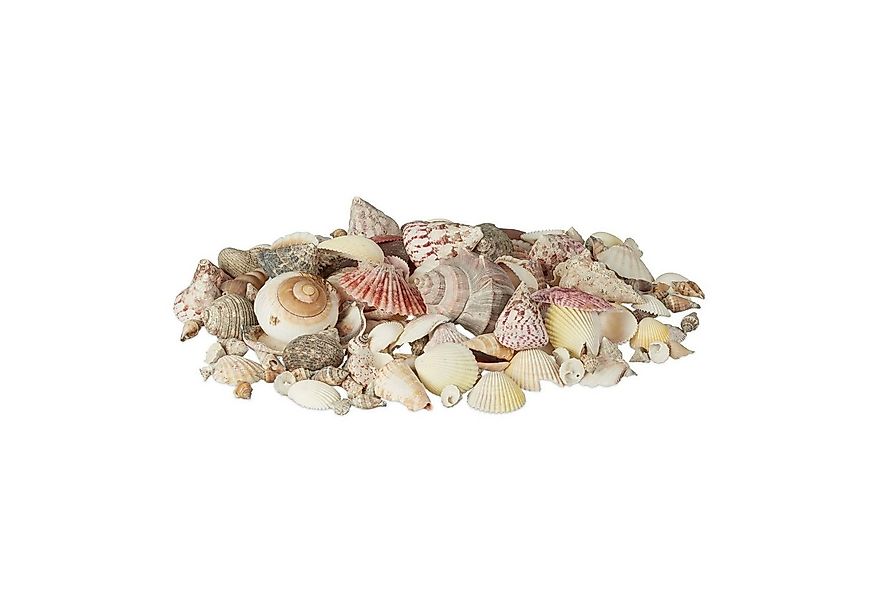 relaxdays Dekoobjekt Muschel Set mit Meeresschnecken 1kg günstig online kaufen