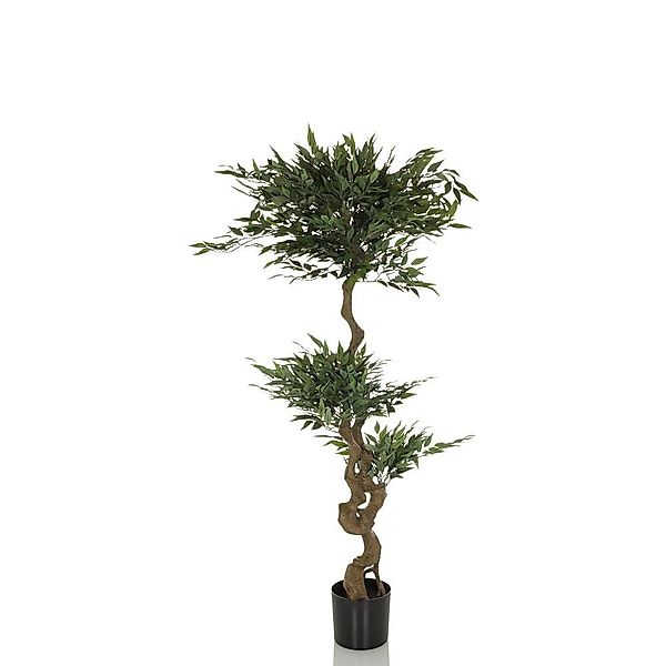 Kunstpflanze Kunstpflanze ACACIA Kunststoff, Stoff Strahlenaralie, günstig online kaufen