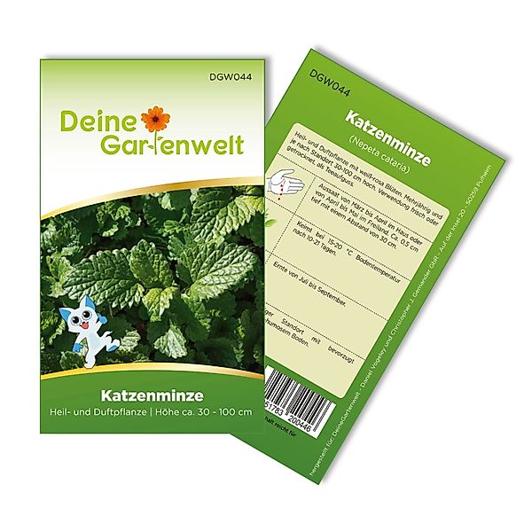 Deine Gartenwelt Katzenminze Samen günstig online kaufen