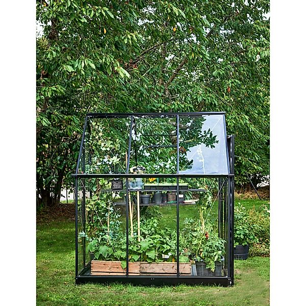 Halls Gewächshaus Qube 66 Schwarz 3,9 m² günstig online kaufen