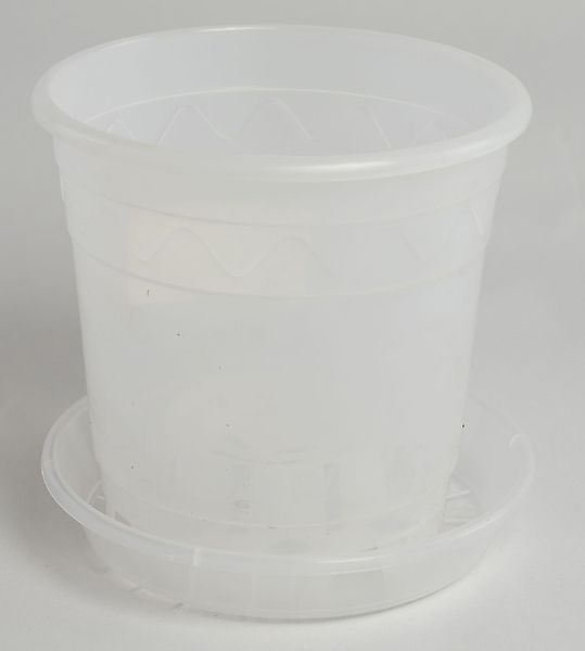 Geli Blumentopf Orchideentopf milchig mit passendem günstig online kaufen