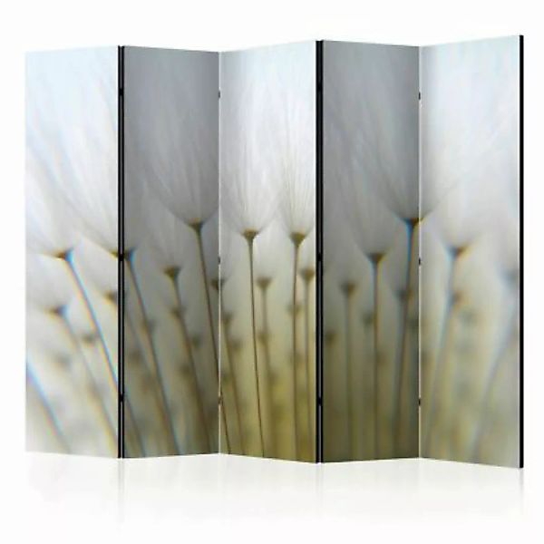 artgeist Paravent Dandelion forest II [Room Dividers] mehrfarbig Gr. 225 x günstig online kaufen