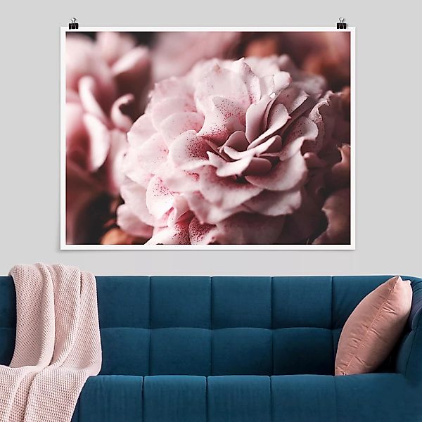 Poster - Querformat Shabby Rosa Rose Pastell günstig online kaufen