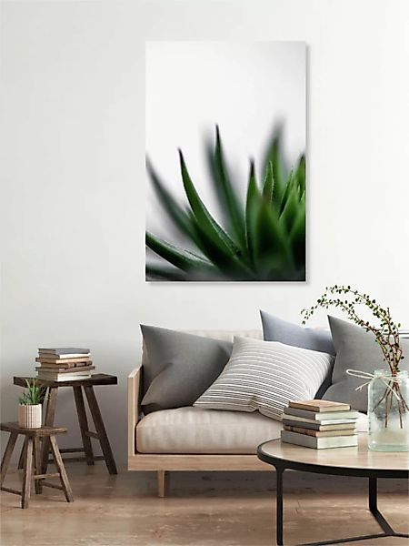 Poster / Leinwandbild - Succulent 1 günstig online kaufen