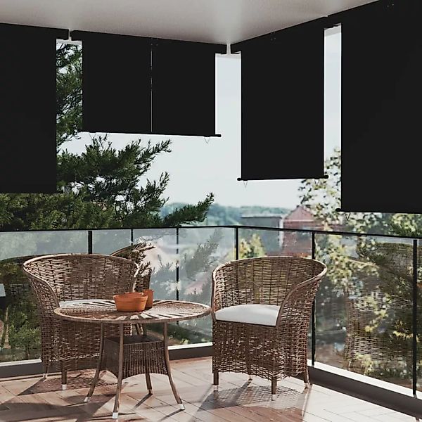 Vidaxl Balkon-seitenmarkise 160 × 250 Cm Schwarz günstig online kaufen