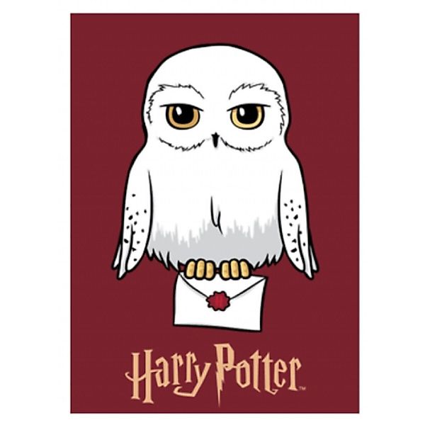 Wohndecke Harry Potter Kuscheldecke für Kinder günstig online kaufen